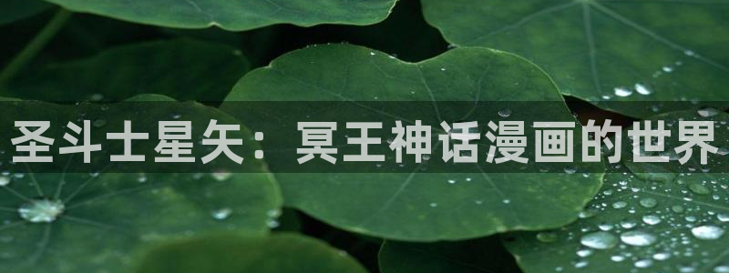 羞羞动漫歪歪漫画